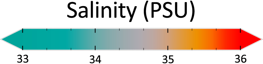 Color bar applied to the 'salinity version' of the ocean currents. Colors range from greenish-cyan to gray to orange to red. Values range from 33 to 36 salinity units.