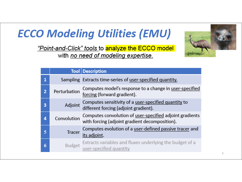 Presentation title page: ECCO Modelling Utilities (EMU)