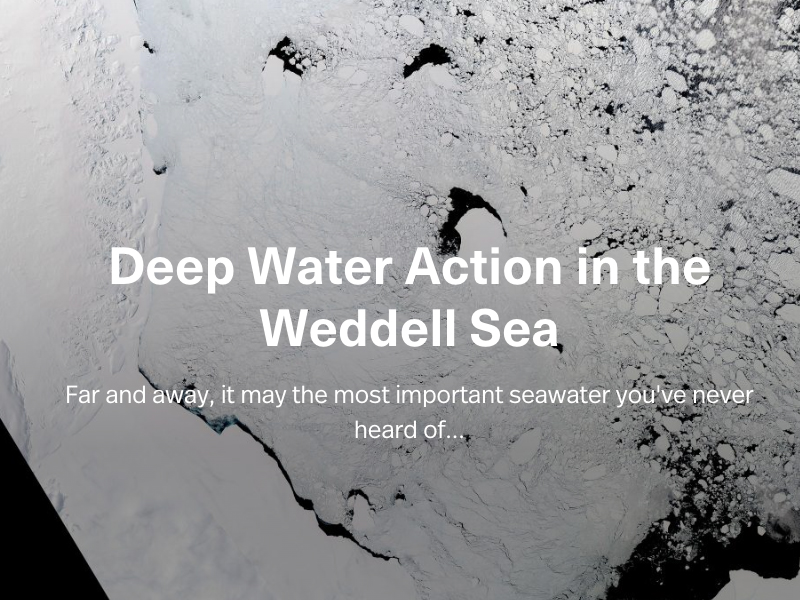Deep Water Action in the Weddell Sea