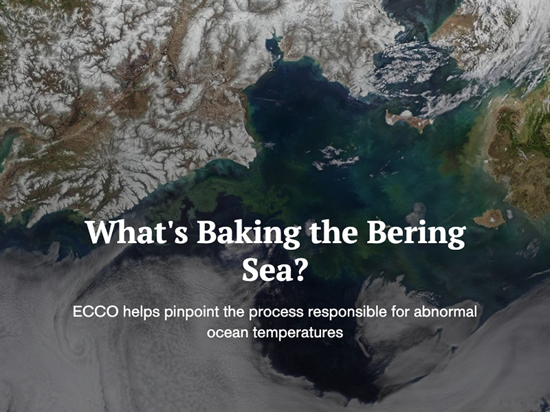 What’s Baking the Bering Sea?