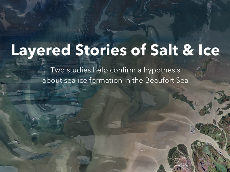 Layered Stories of Salt & Ice
