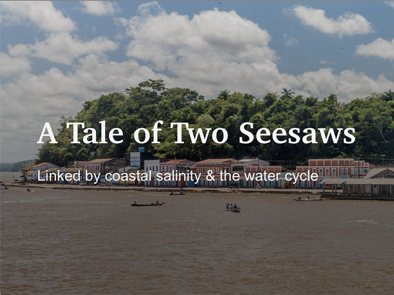 A Tale of Two Seesaws