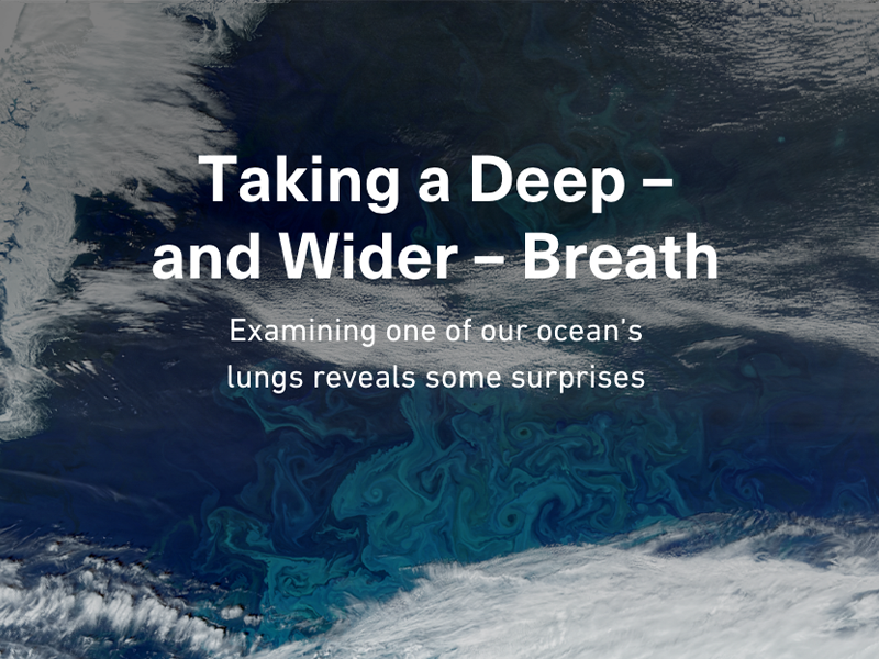 Taking a Deep – and Wider – Breath