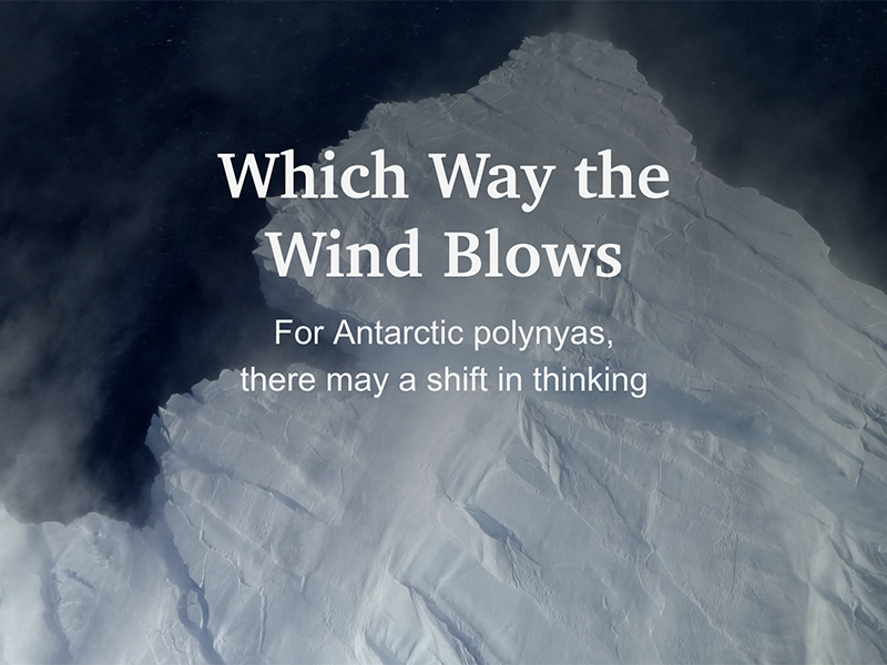 Which Way the Wind Blows